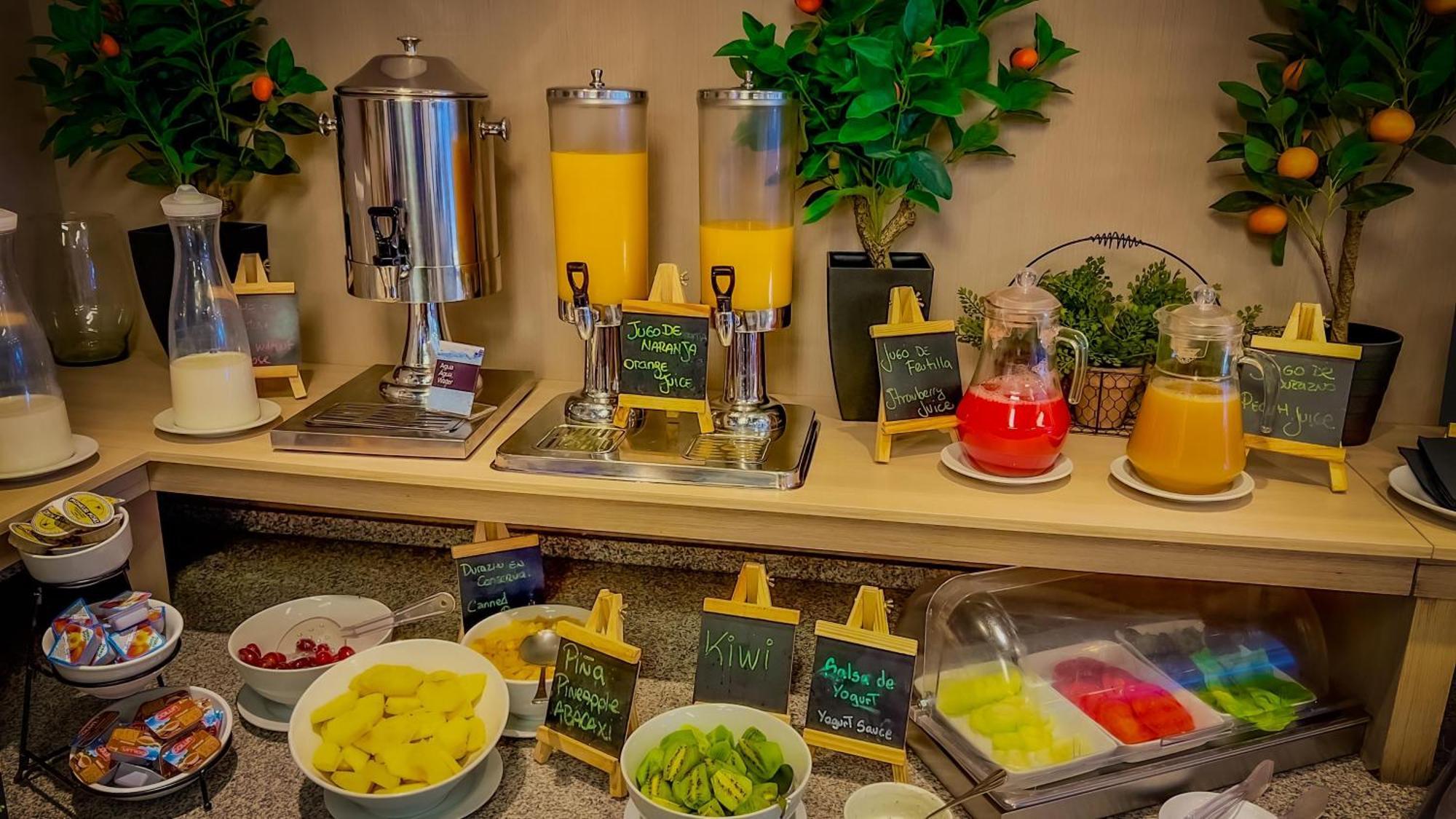 Panamericana Hotel Providencia Сантьяго Екстер'єр фото